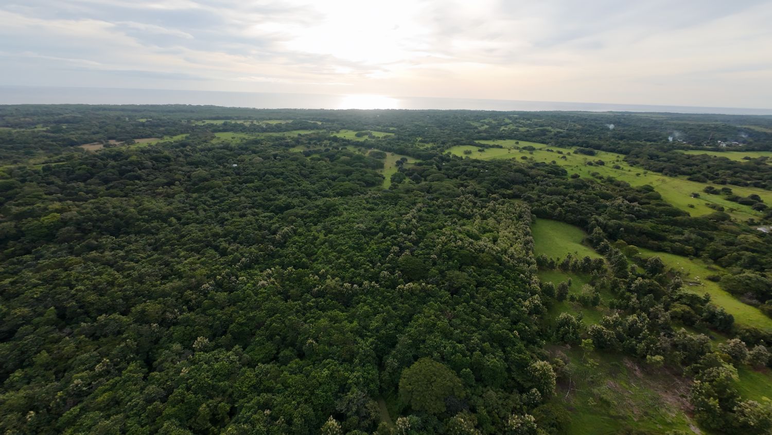 The property and the coastline seen from the air