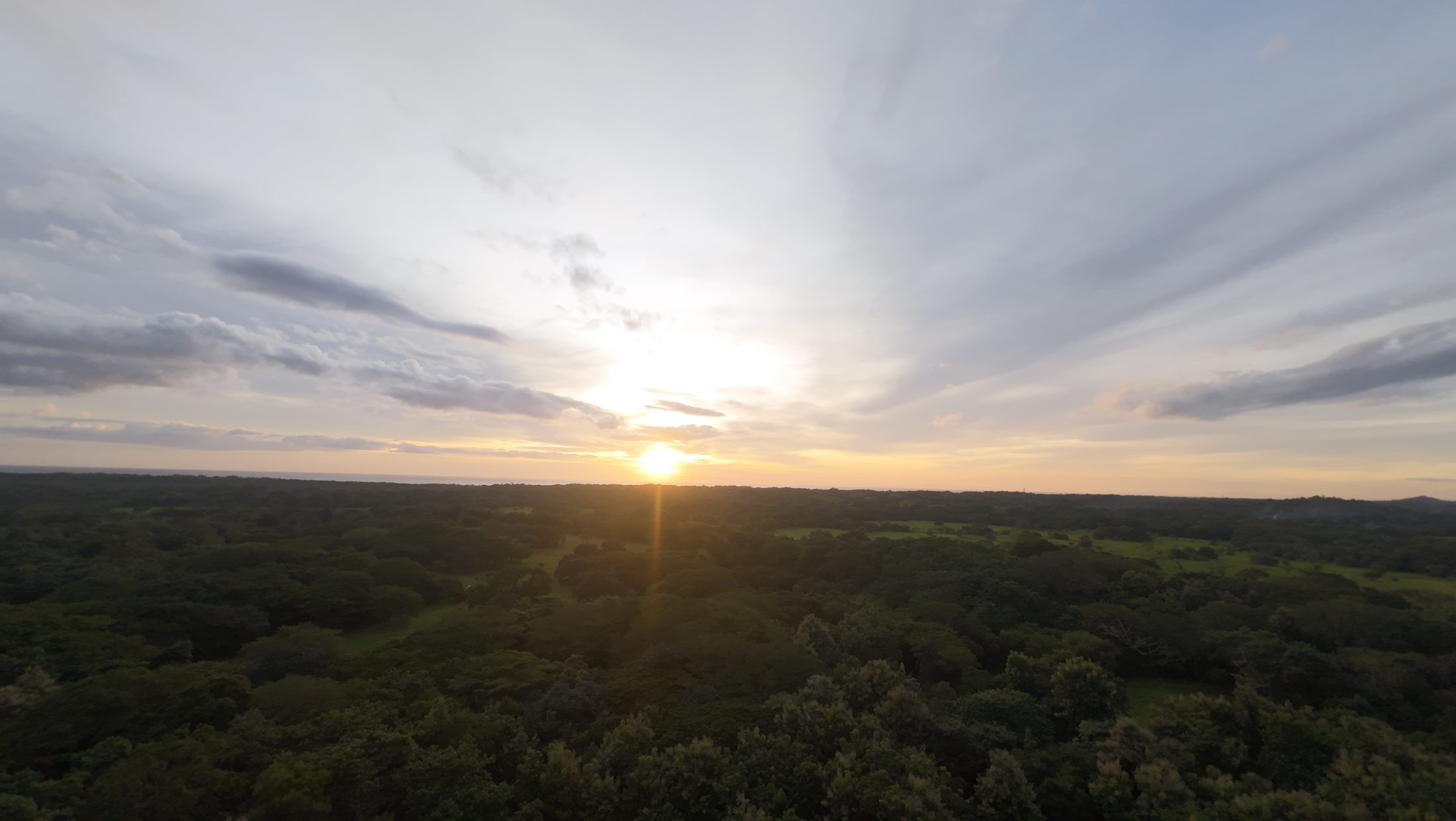 Sunset over the canopy toward the Pacific