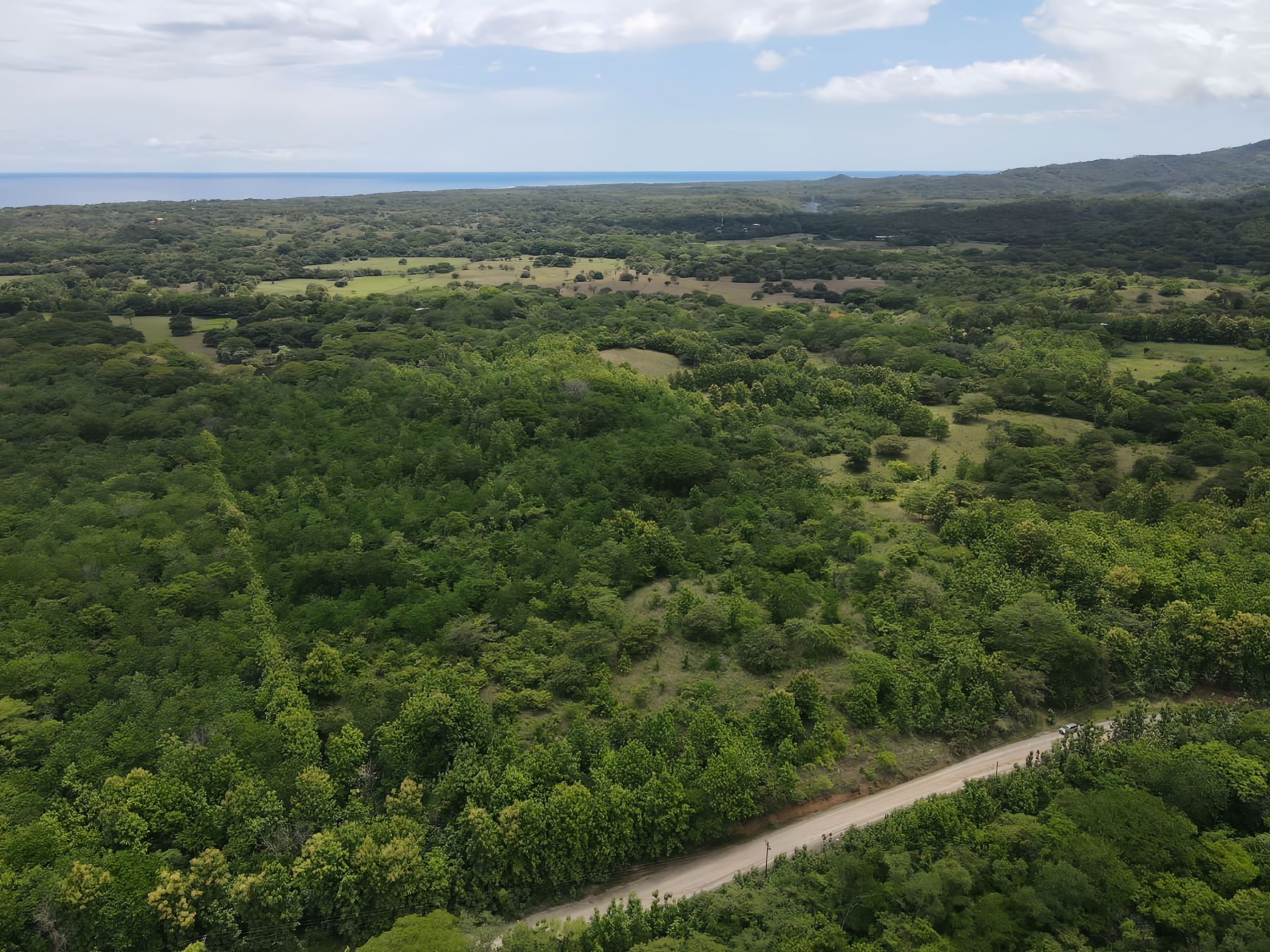 The green plain running down to the Pacific