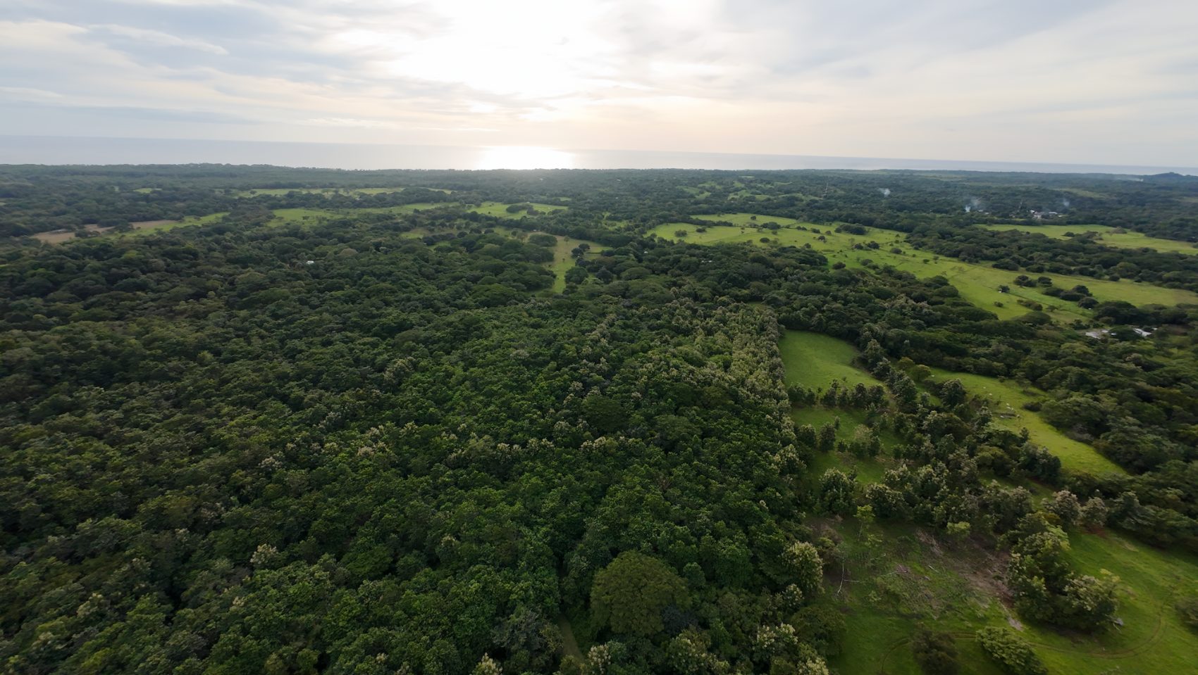 The finca and its internal roads from above