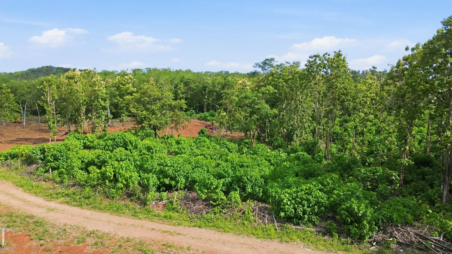 The parcels seen from above, roads graded to each boundary