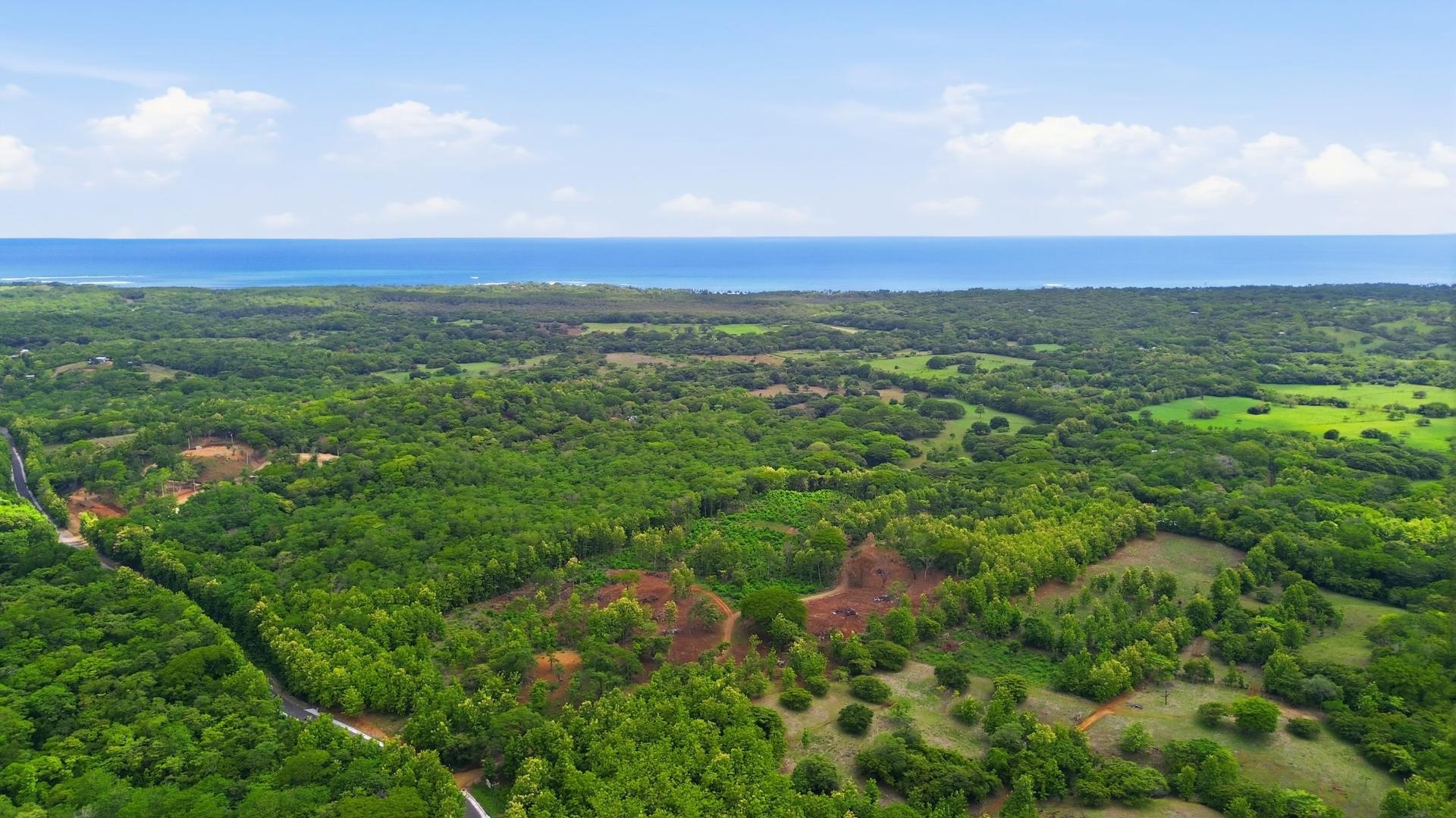 The green plain running out to the Pacific