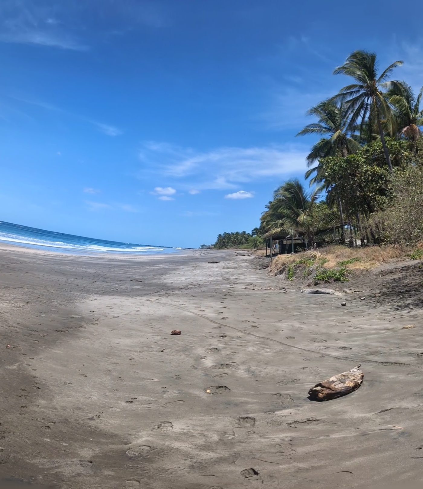 The dark-sand coast the Pinilla course runs along